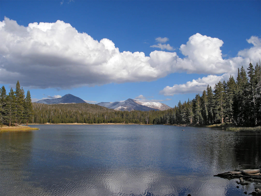 Dog Lake