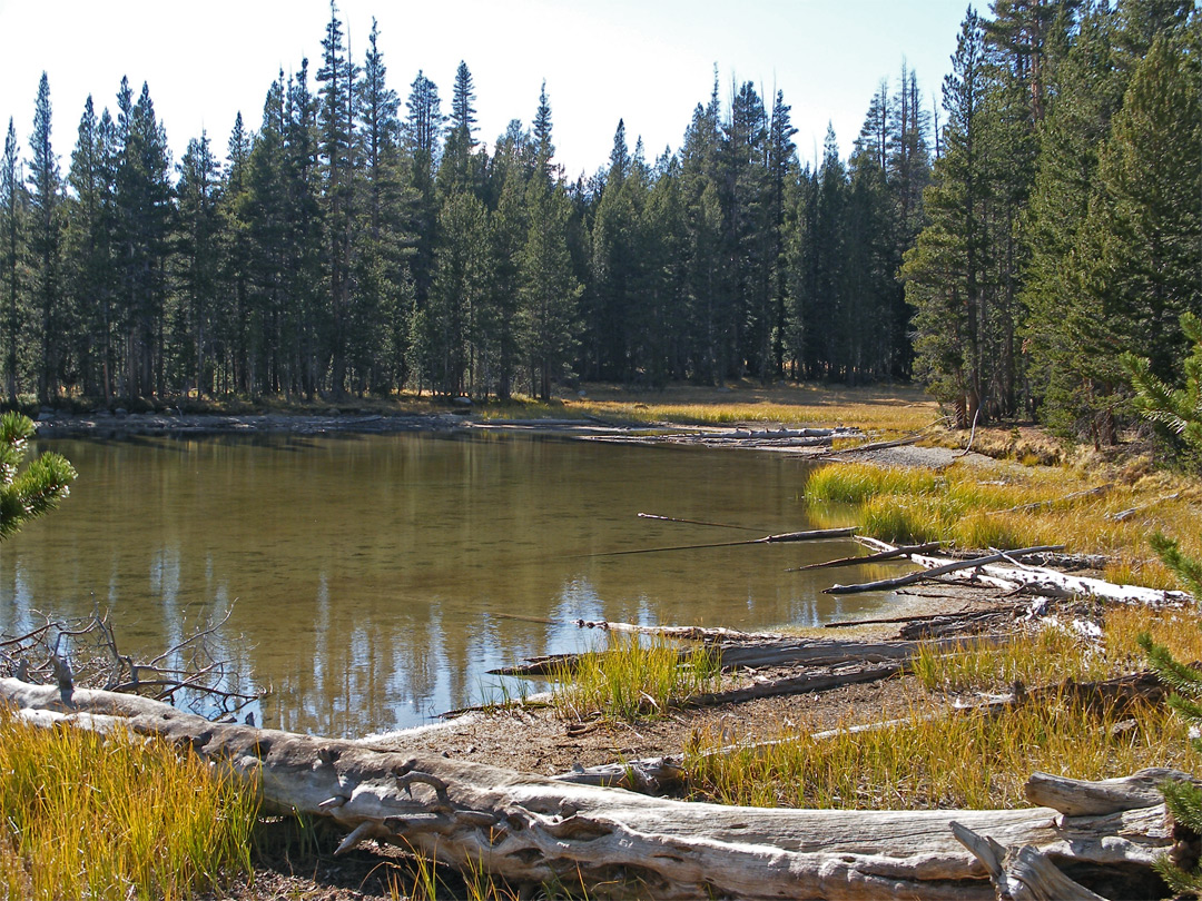 Edge of Dog Lake