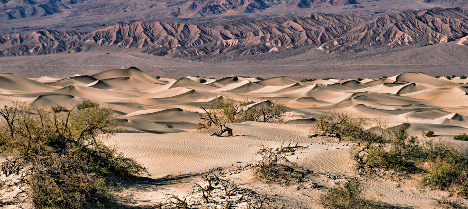 Dunes near the North Highway