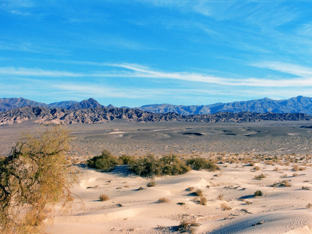 The Mesquite Flat dunes