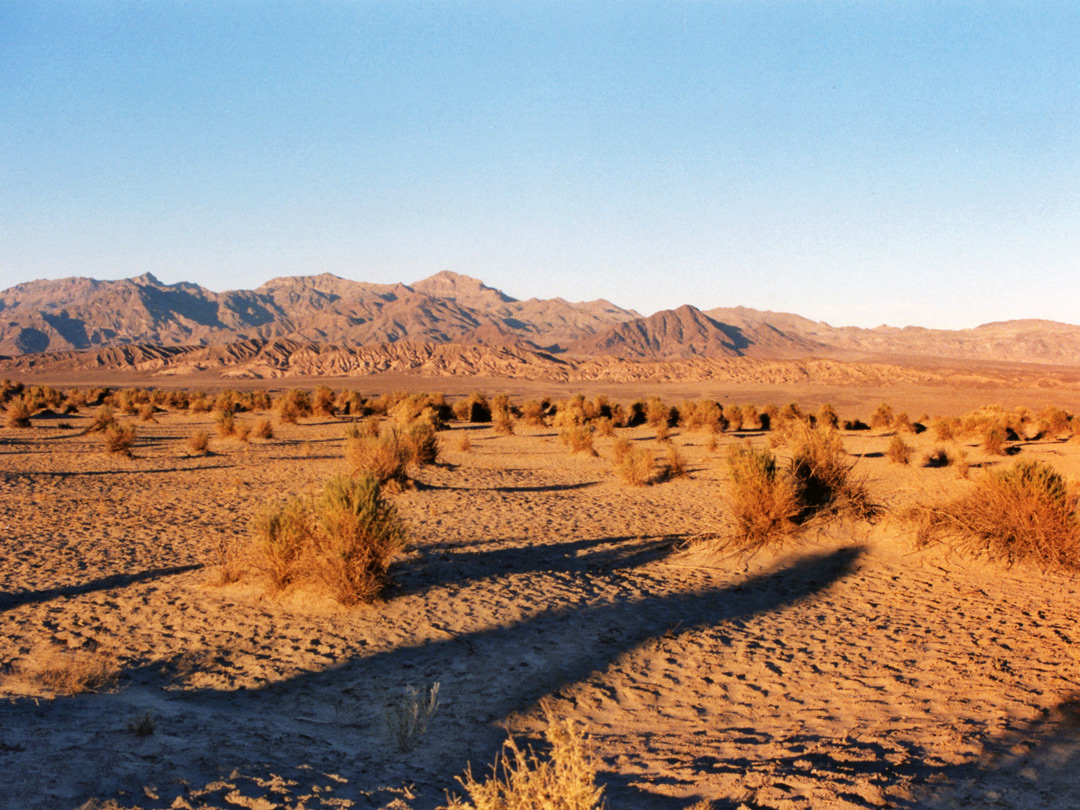 Sunset on dunes