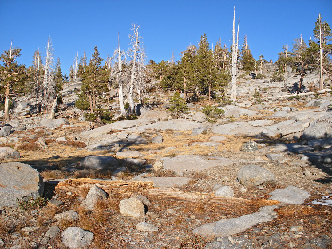 Granite boulders