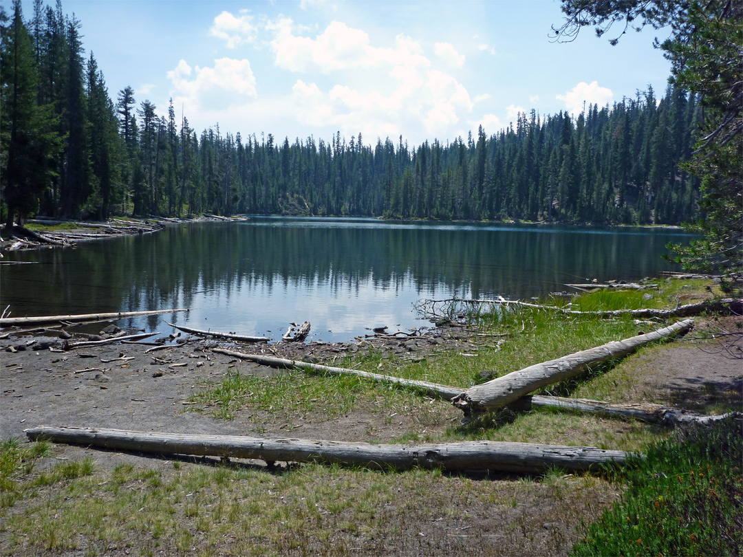 Shoreline of Echo Lake