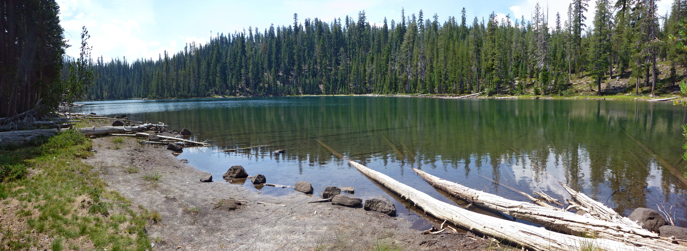 Logs beside Echo Lake