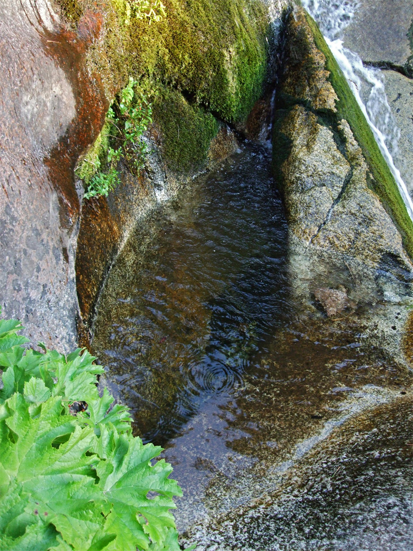 Pool below Ella Falls