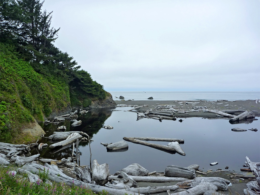 False Klamath Cove, Redwood National Park