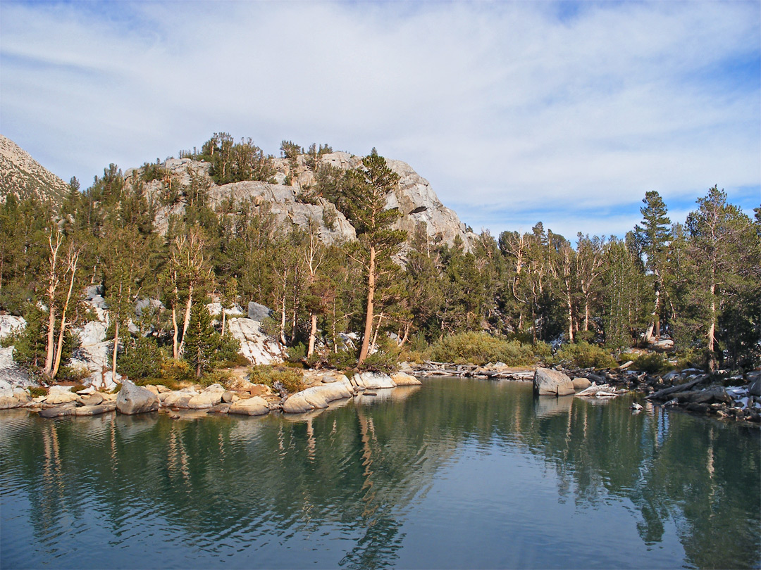 Rocks and trees