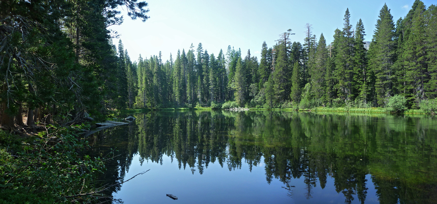 Trees lining Floating Island Lake