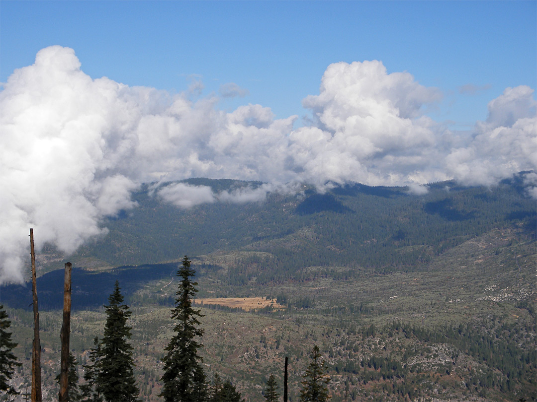 Foresta and Big Meadow