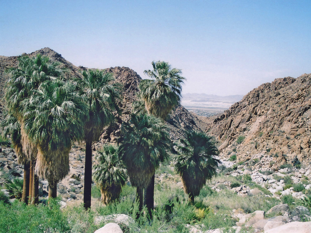 View down the canyon