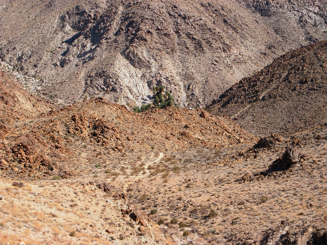 View from the ridgetop