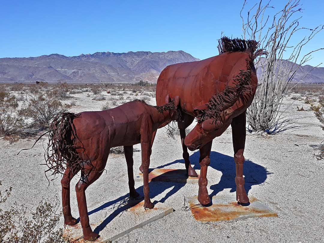 Mother and baby horse