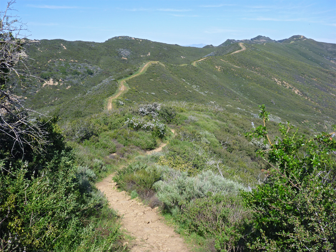 Ridge east of the summit