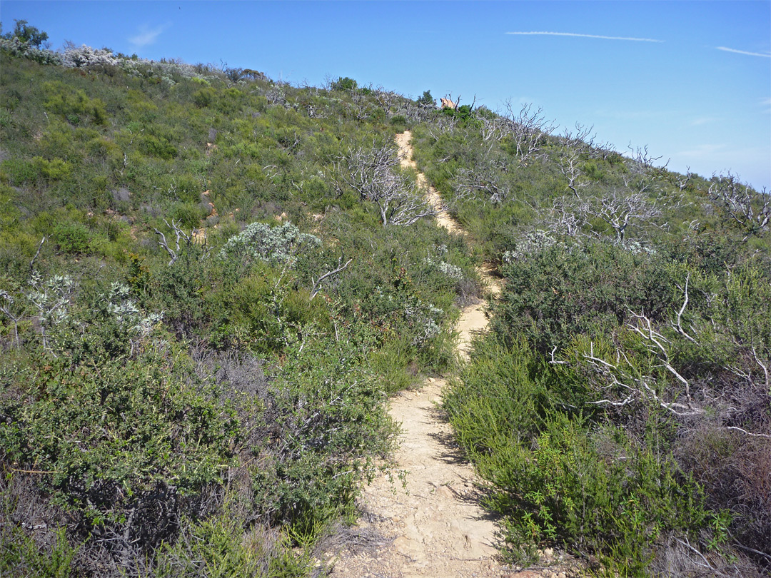 Path near the summit