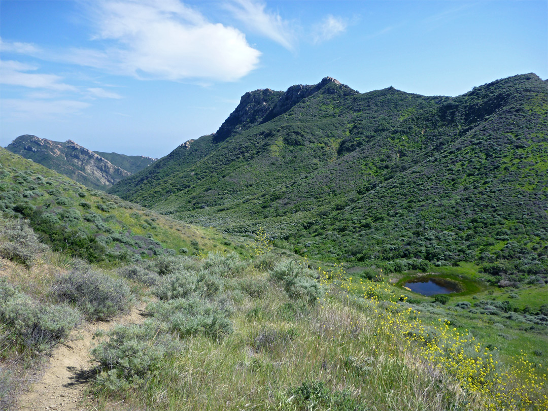 Pond at the saddle