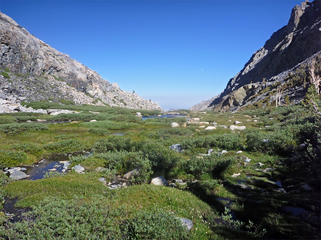 Stream and meadow