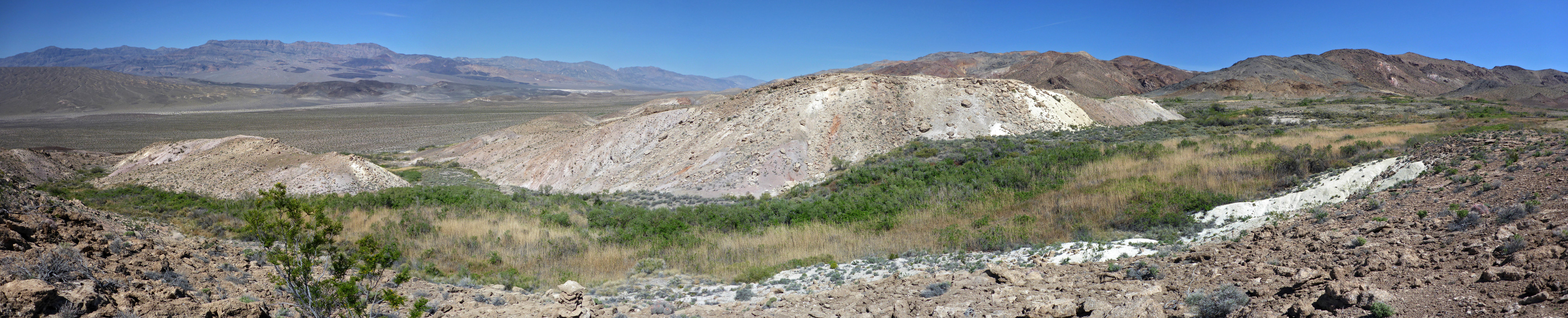 Bush-filled valley