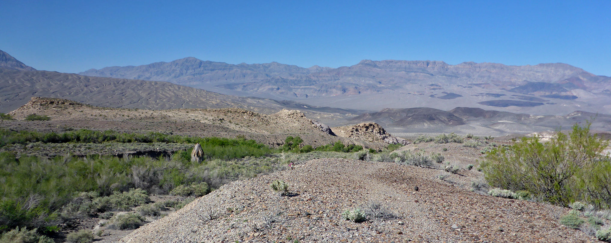 Barren ridge