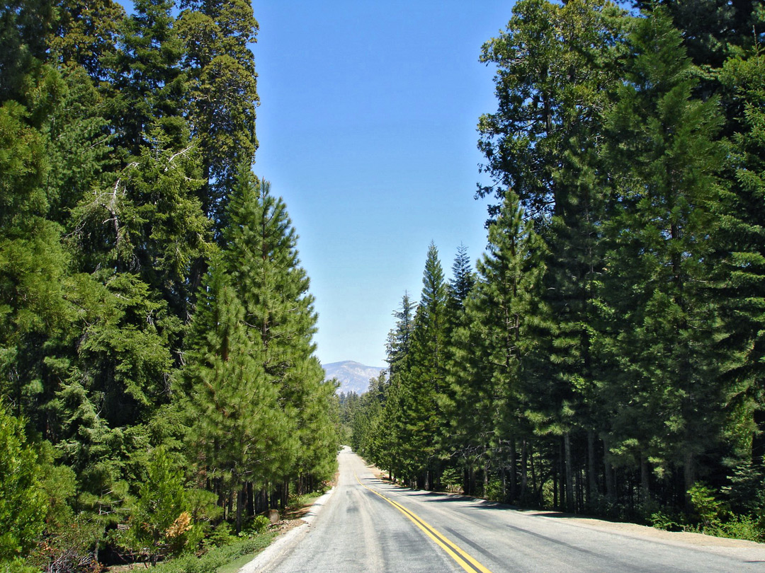 Western Divide Highway