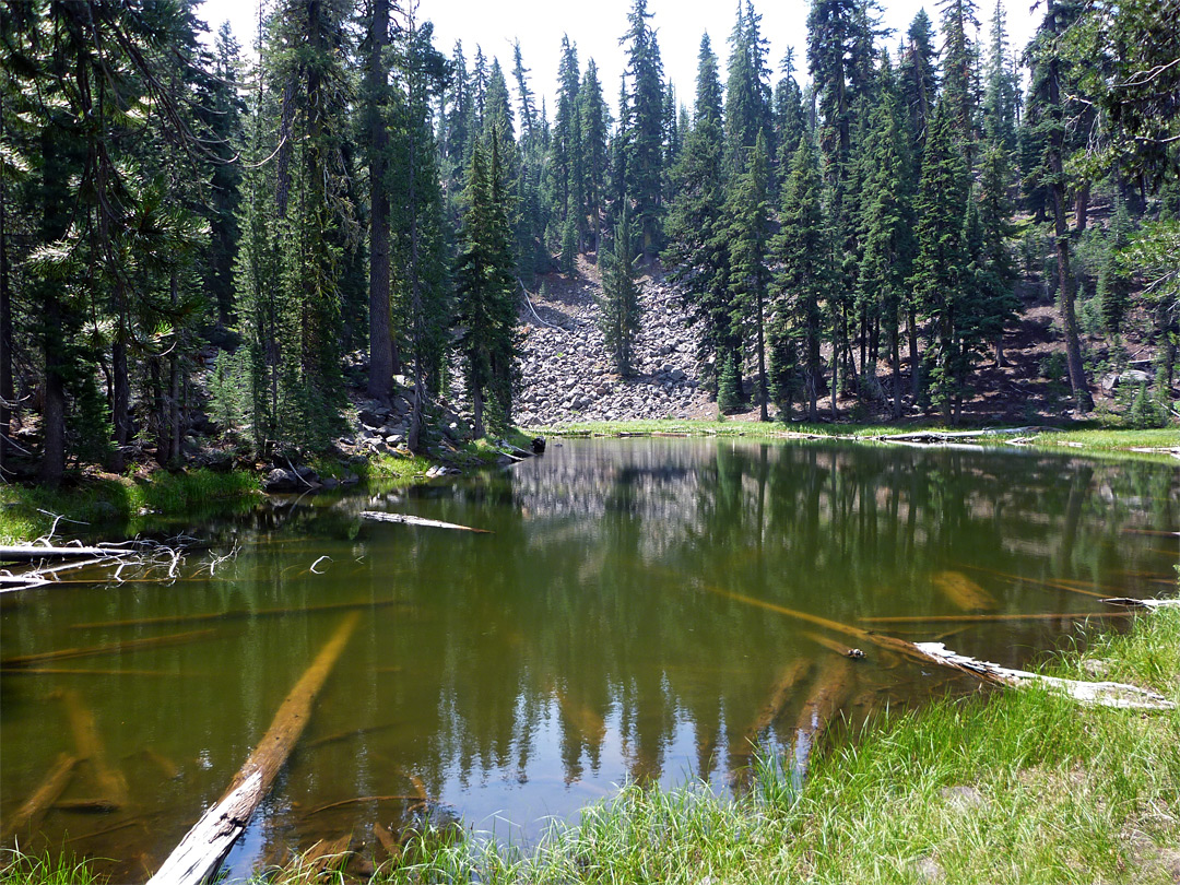 Shallow, green pond