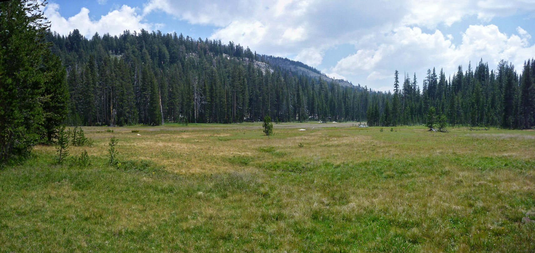 Halfmoon Meadow