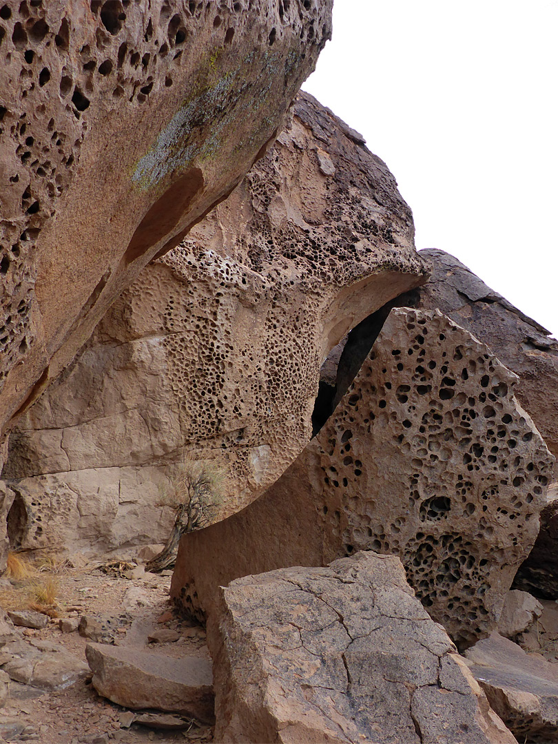 Boulders with tafoni