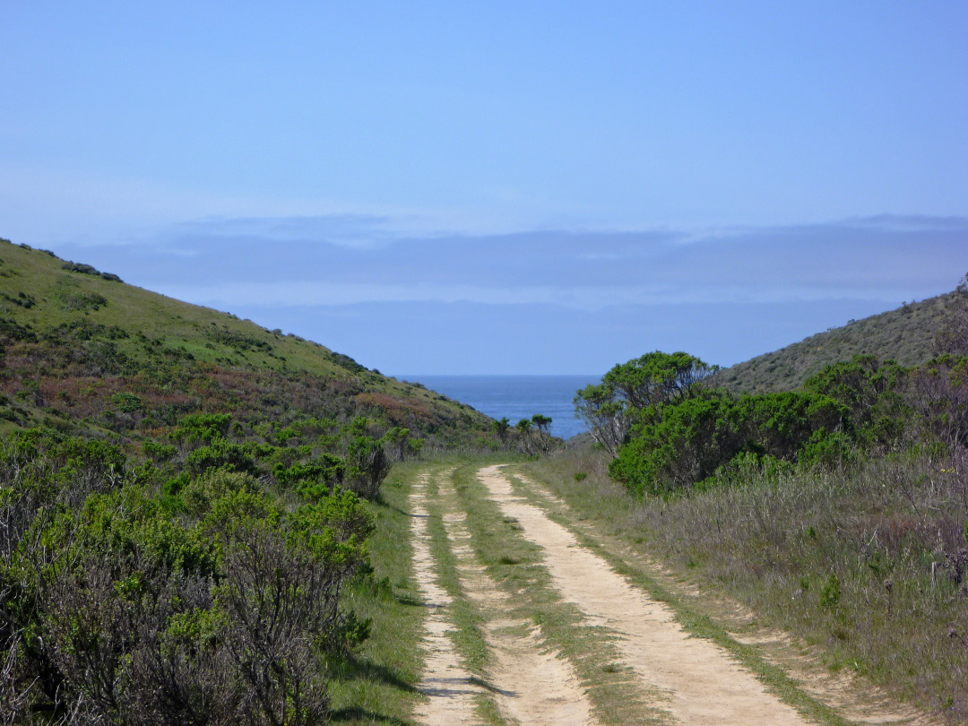 Trail to the coast