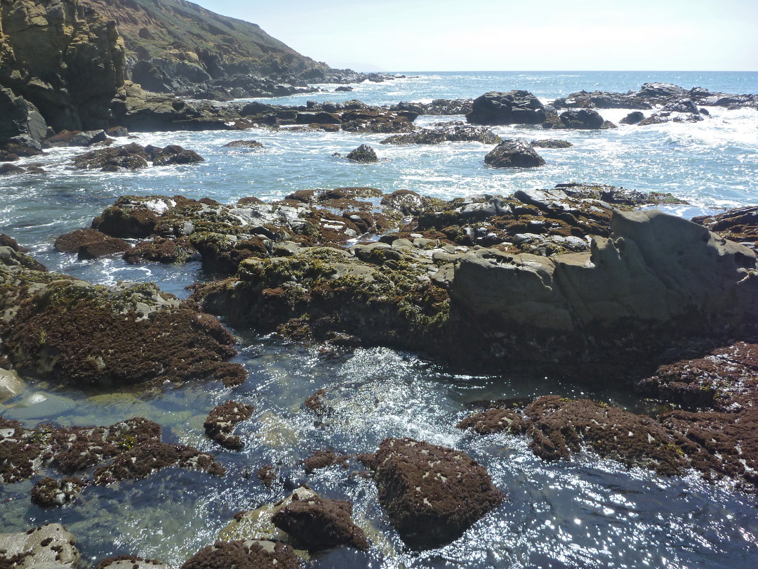 Tide pools