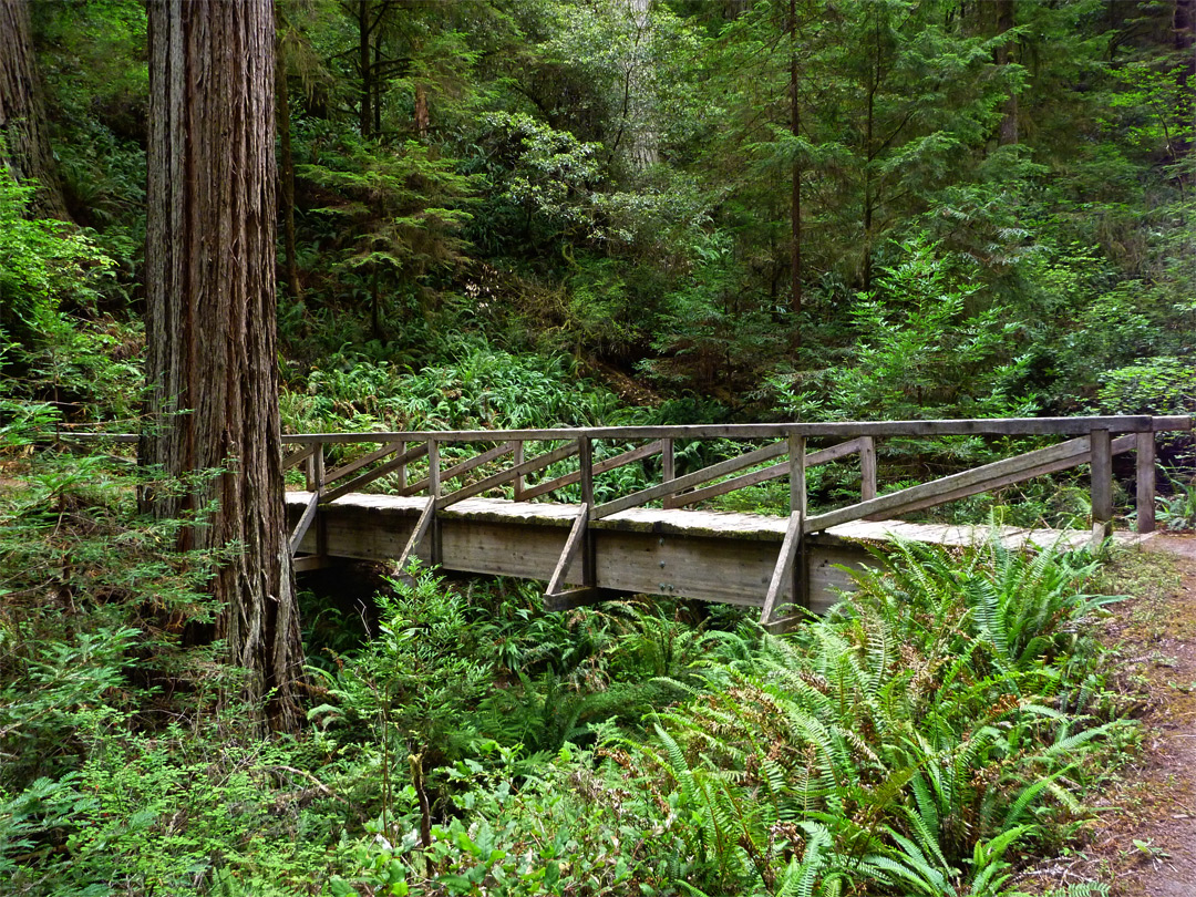 Bridge over a ravine