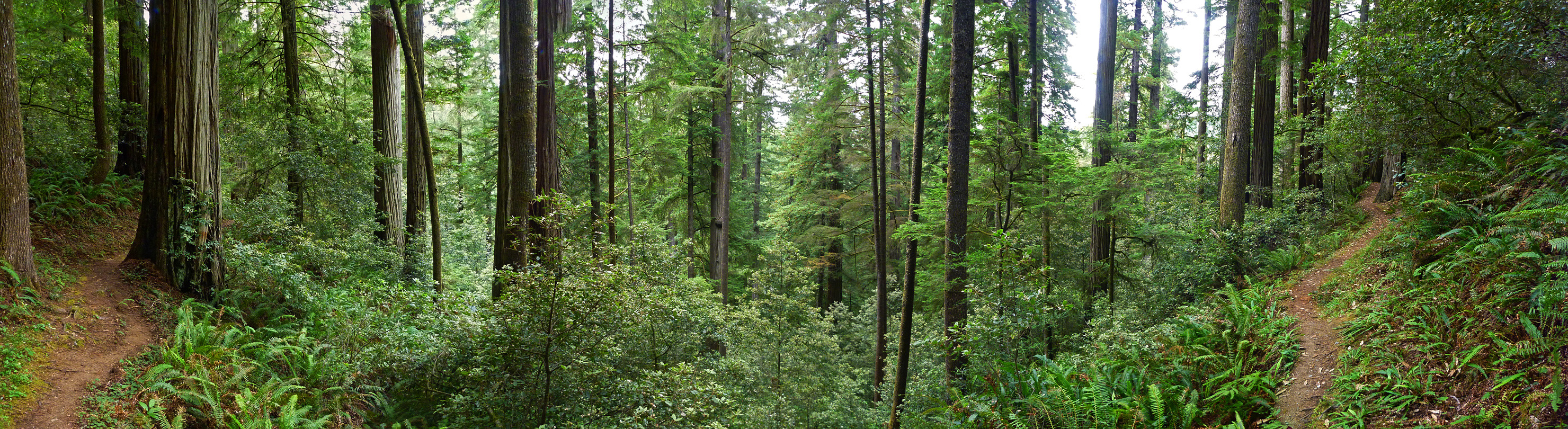 Panorama along the trail