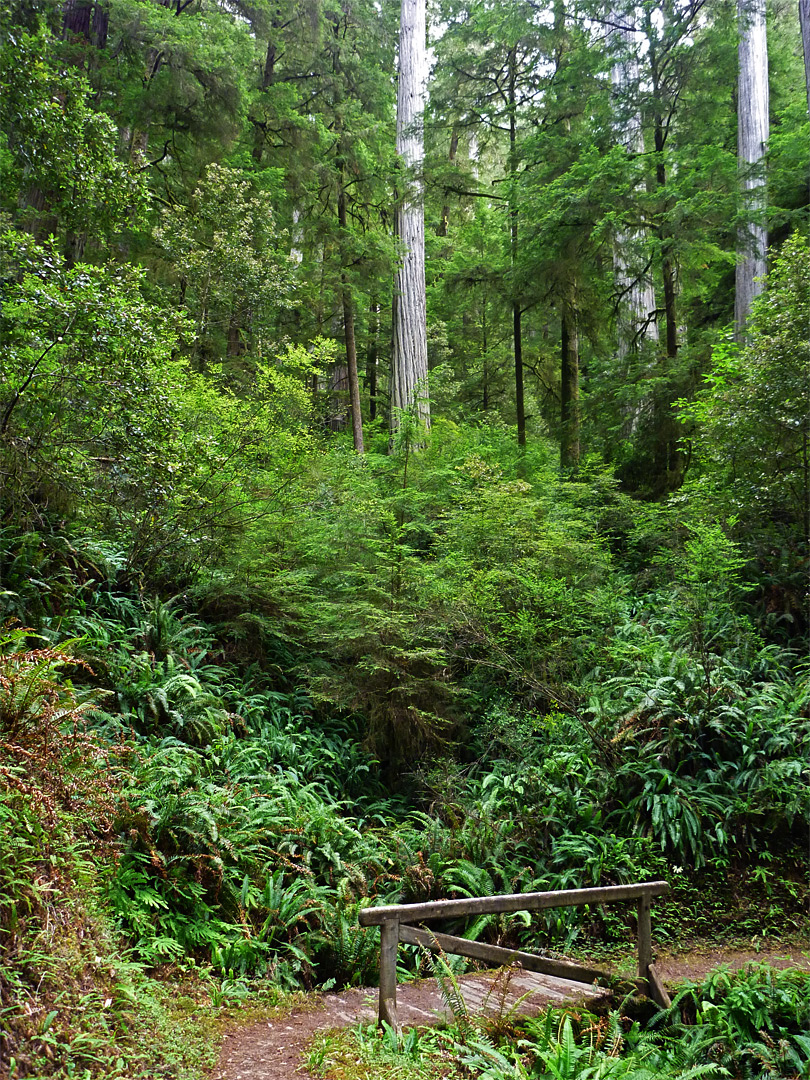 Small footbridge