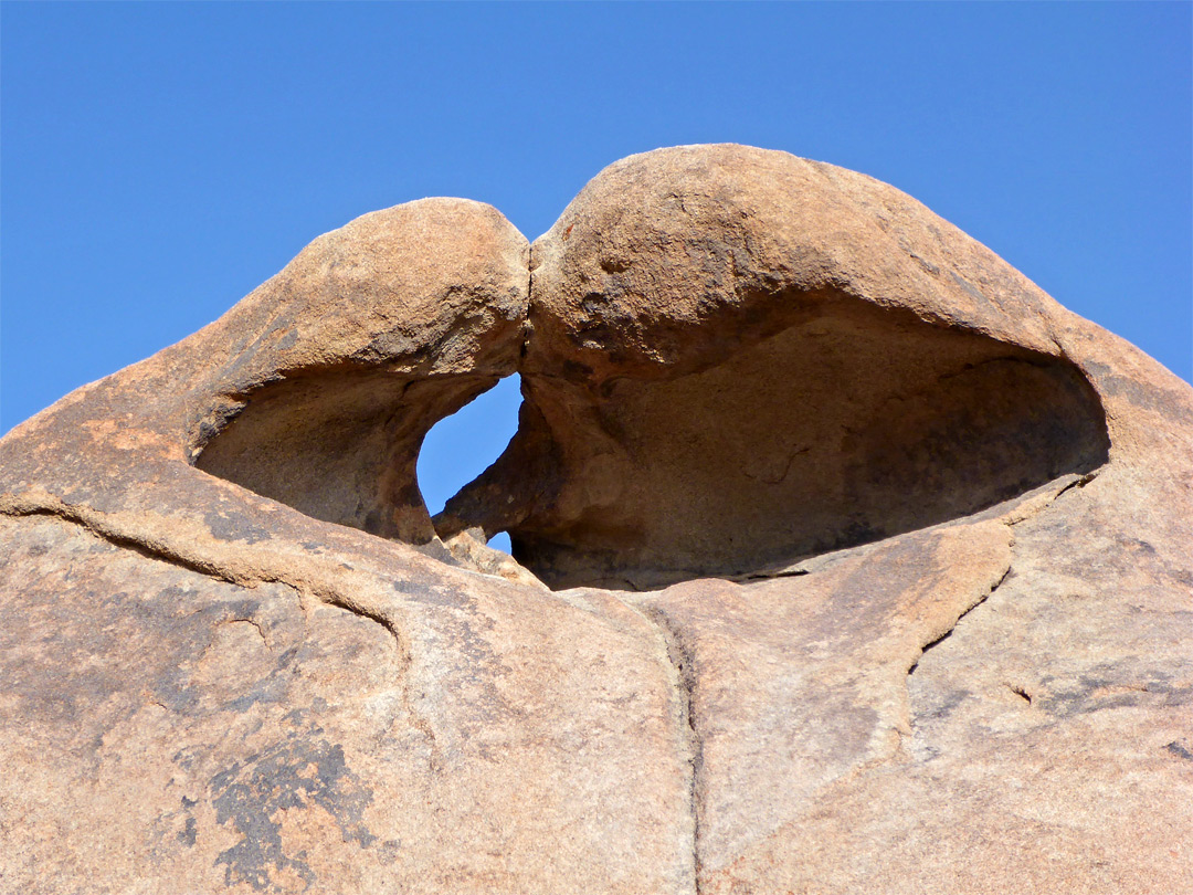 Heart Arch