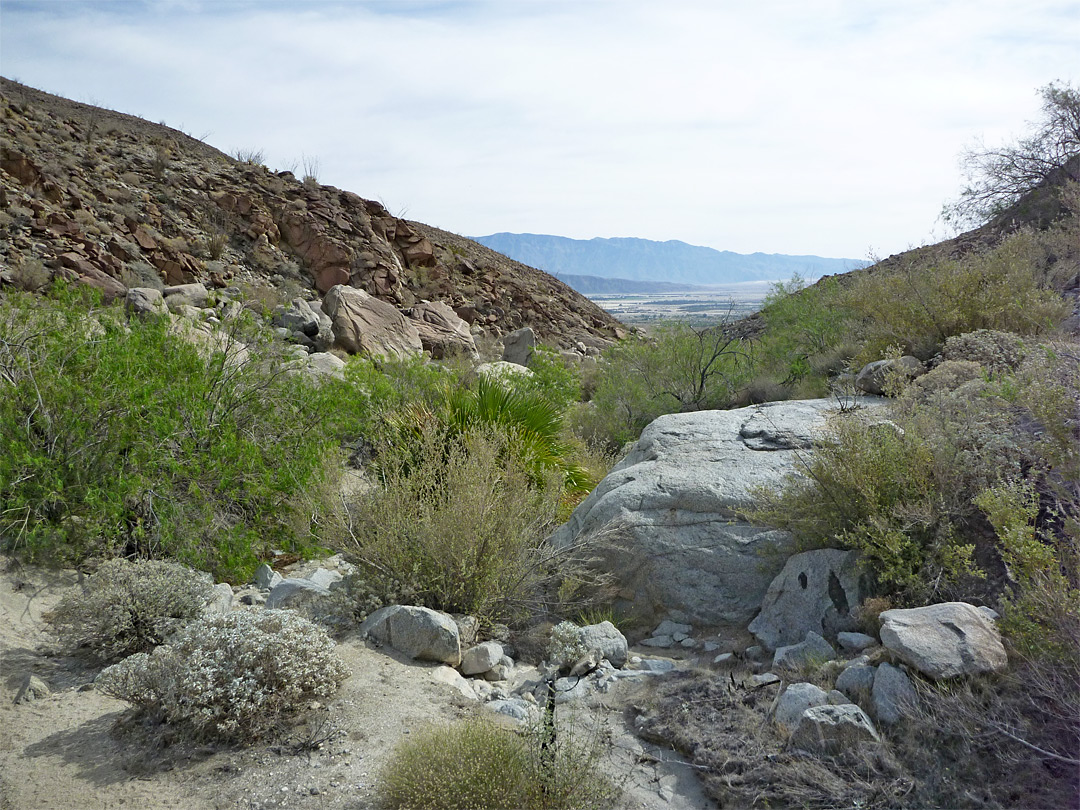 Boulders and bushes