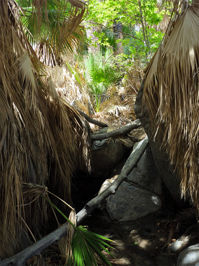 Boulders by the stream