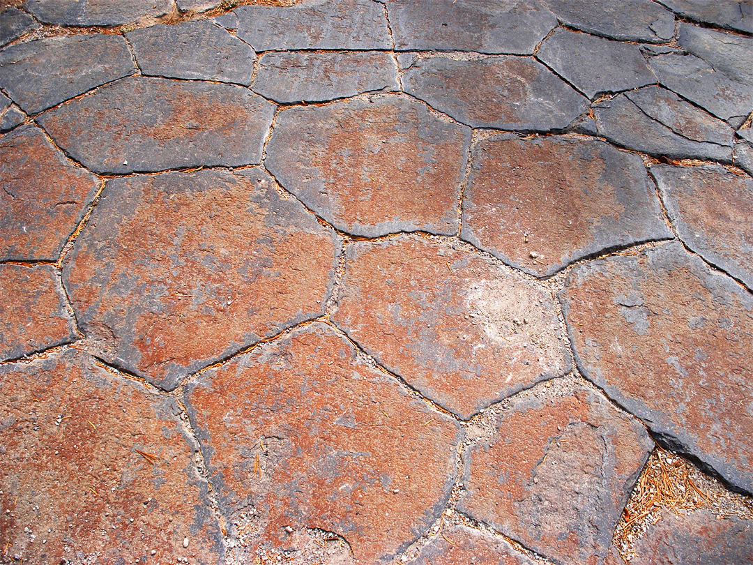 Basalt polygons on top of the cliffs