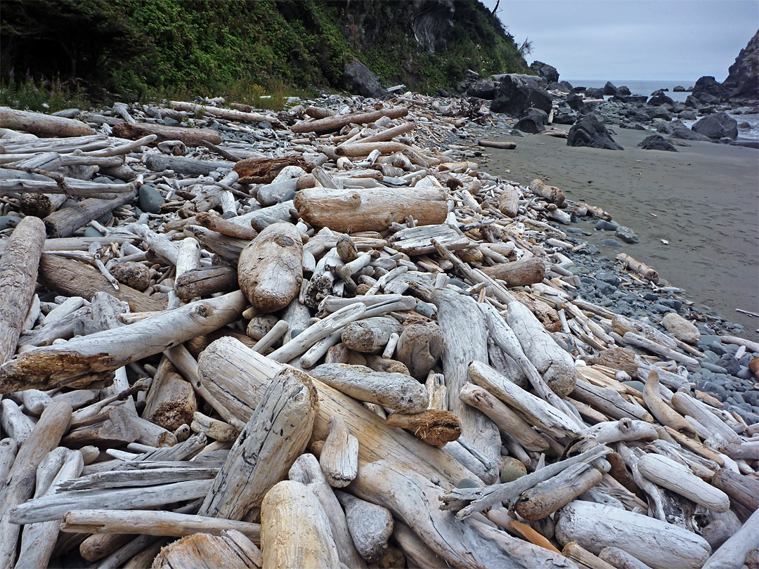 Driftwood