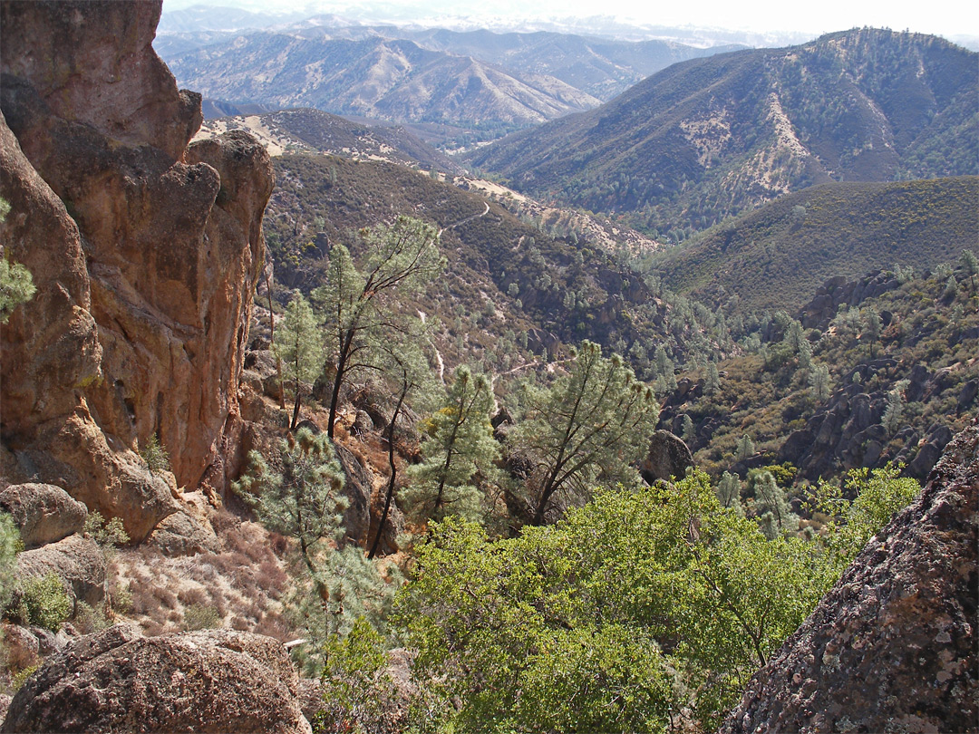 Wooded ravine