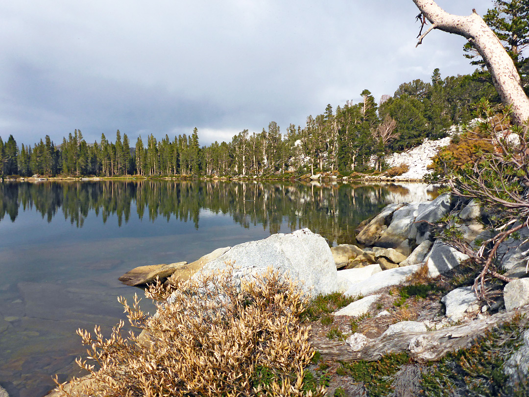 Boulders and trees