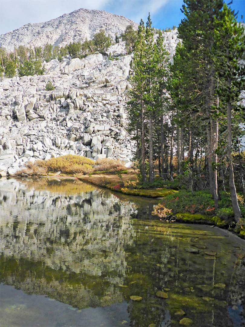 Reflections