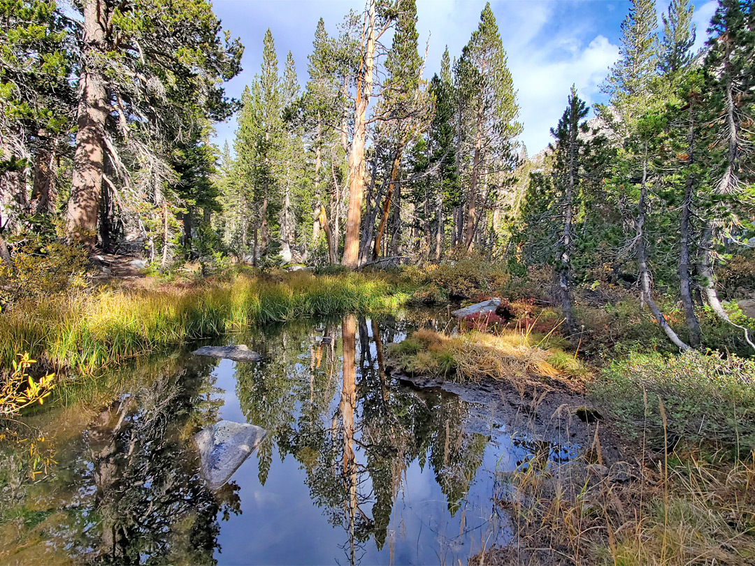 Pond