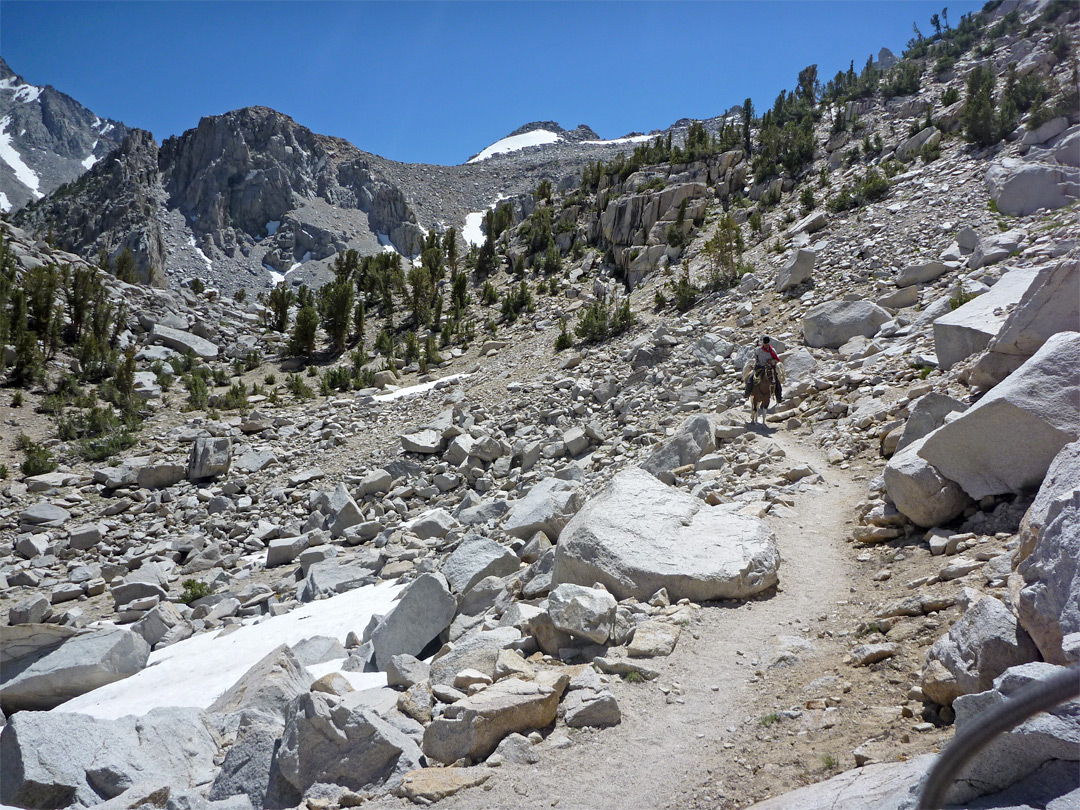 Horseman on the trail