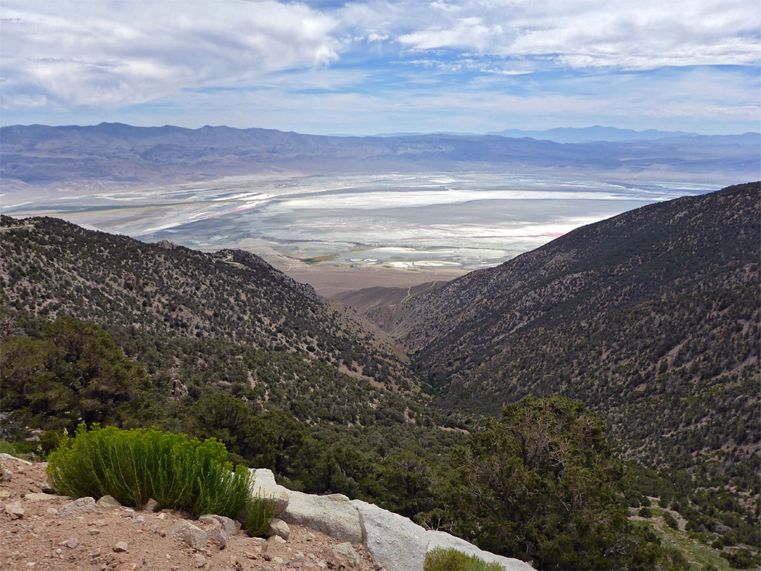 Cottonwood Creek valley