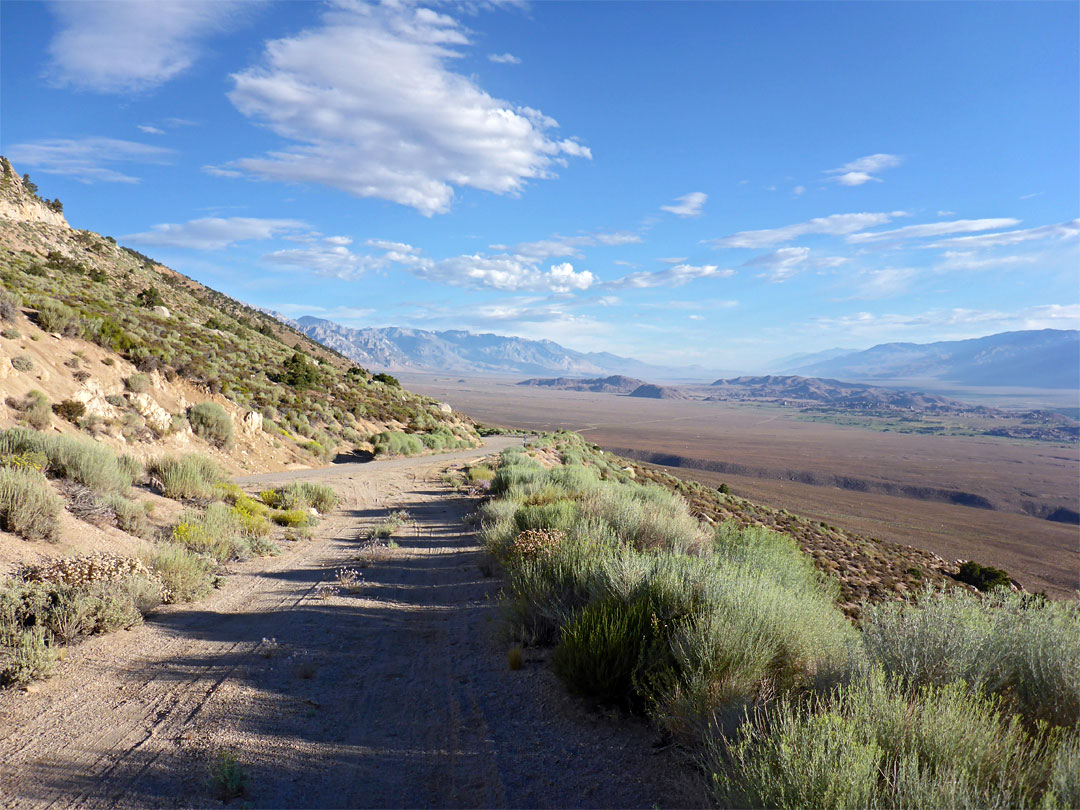 View north along the road