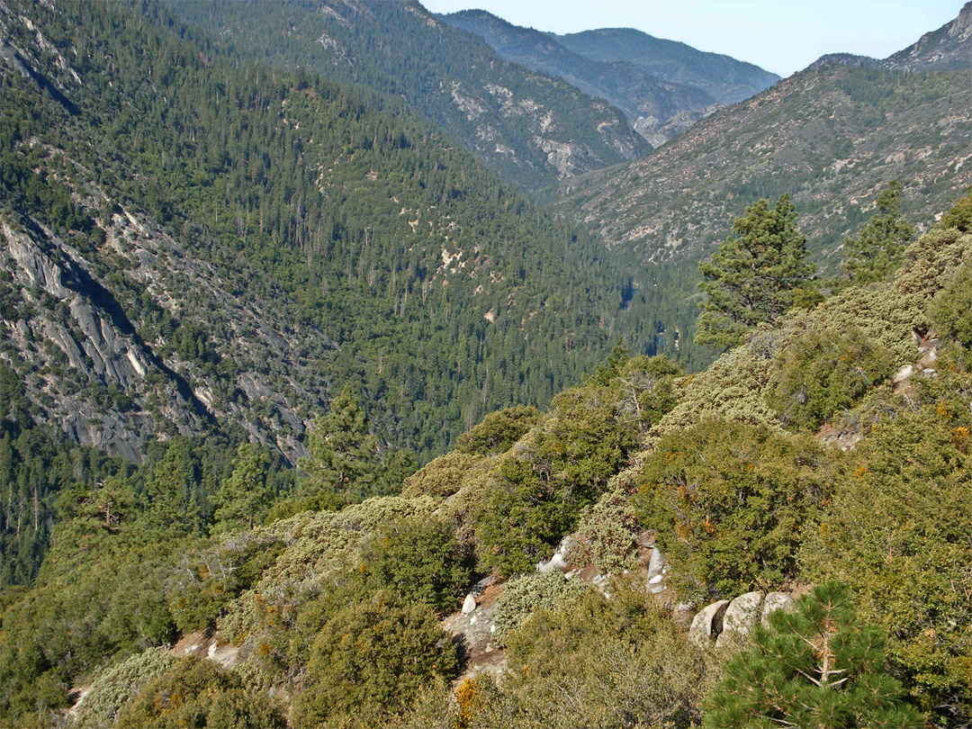 Kings Canyon - west