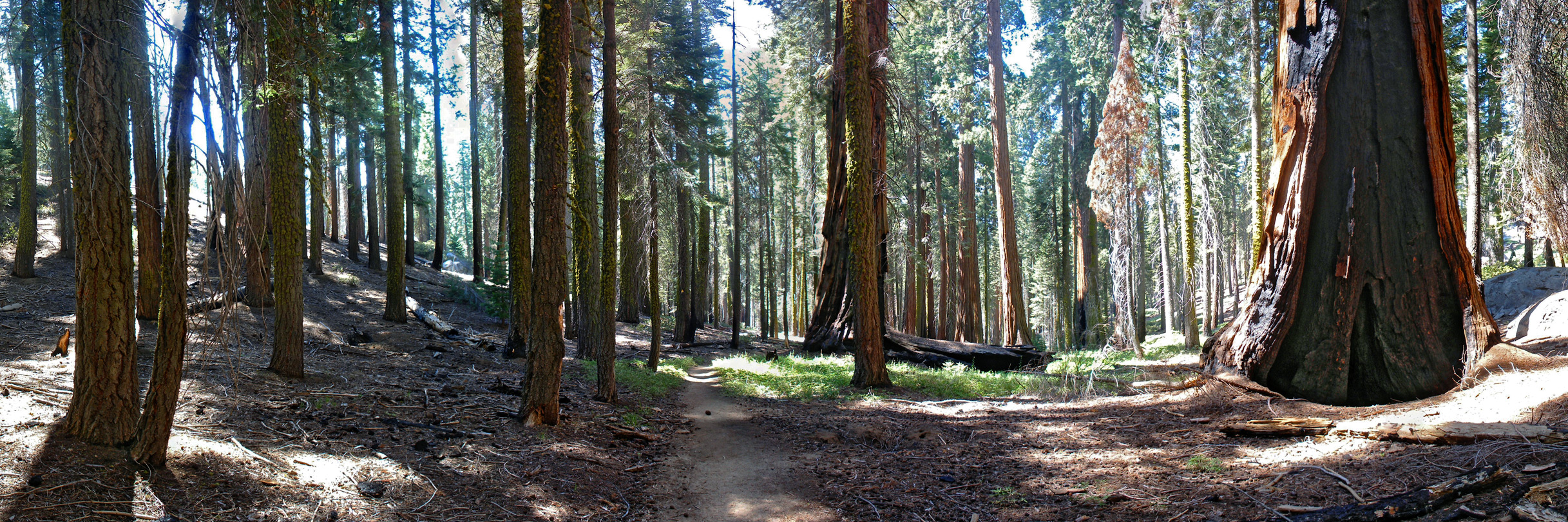 Typical view along the Huckleberry Trail