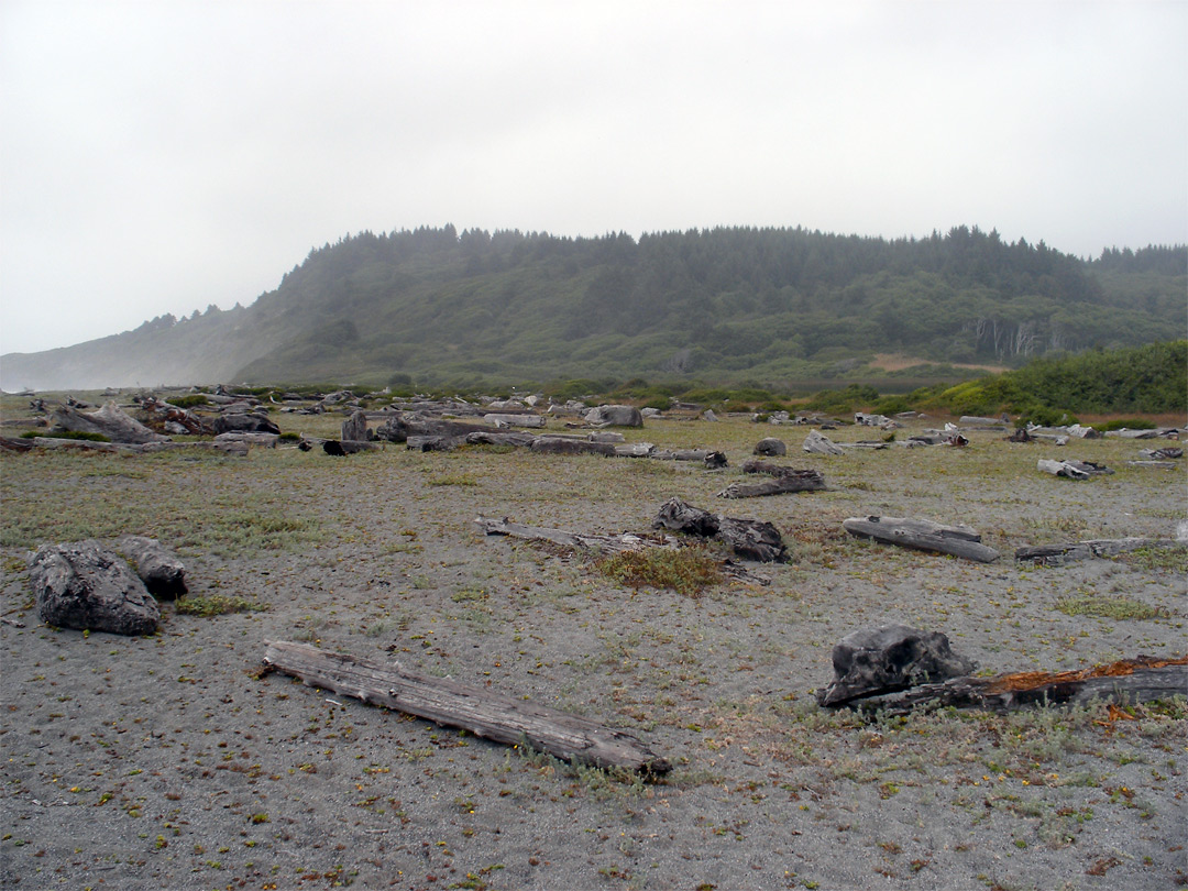 Beach near Dry Lagoon