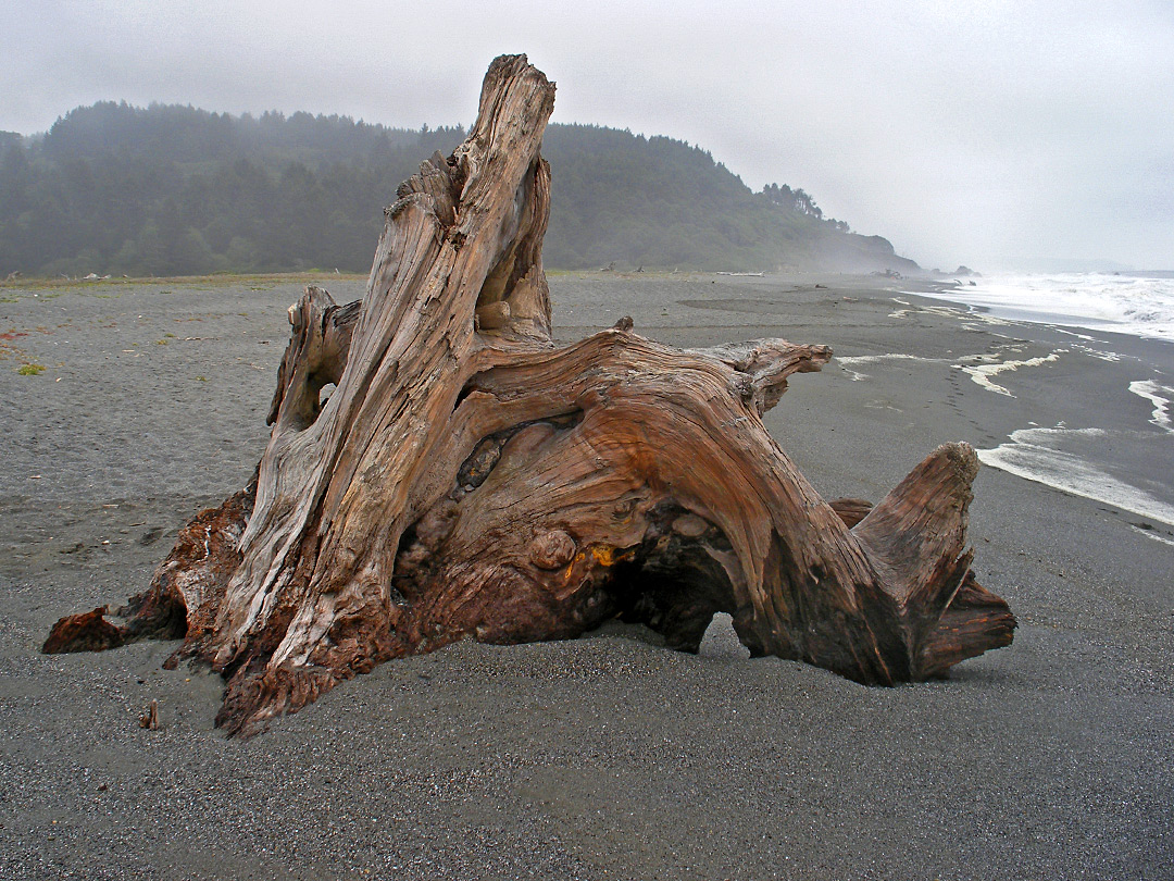 Humboldt Lagoons State Park