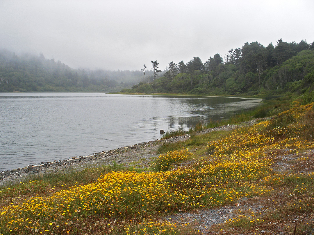 Freshwater Lagoon