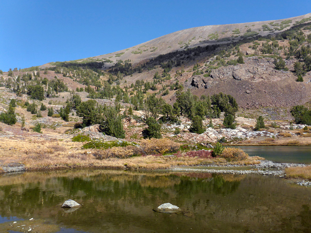 Pool beside Hummingbird Lake
