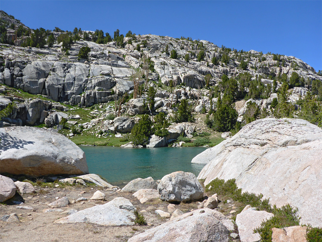 Trees and granite